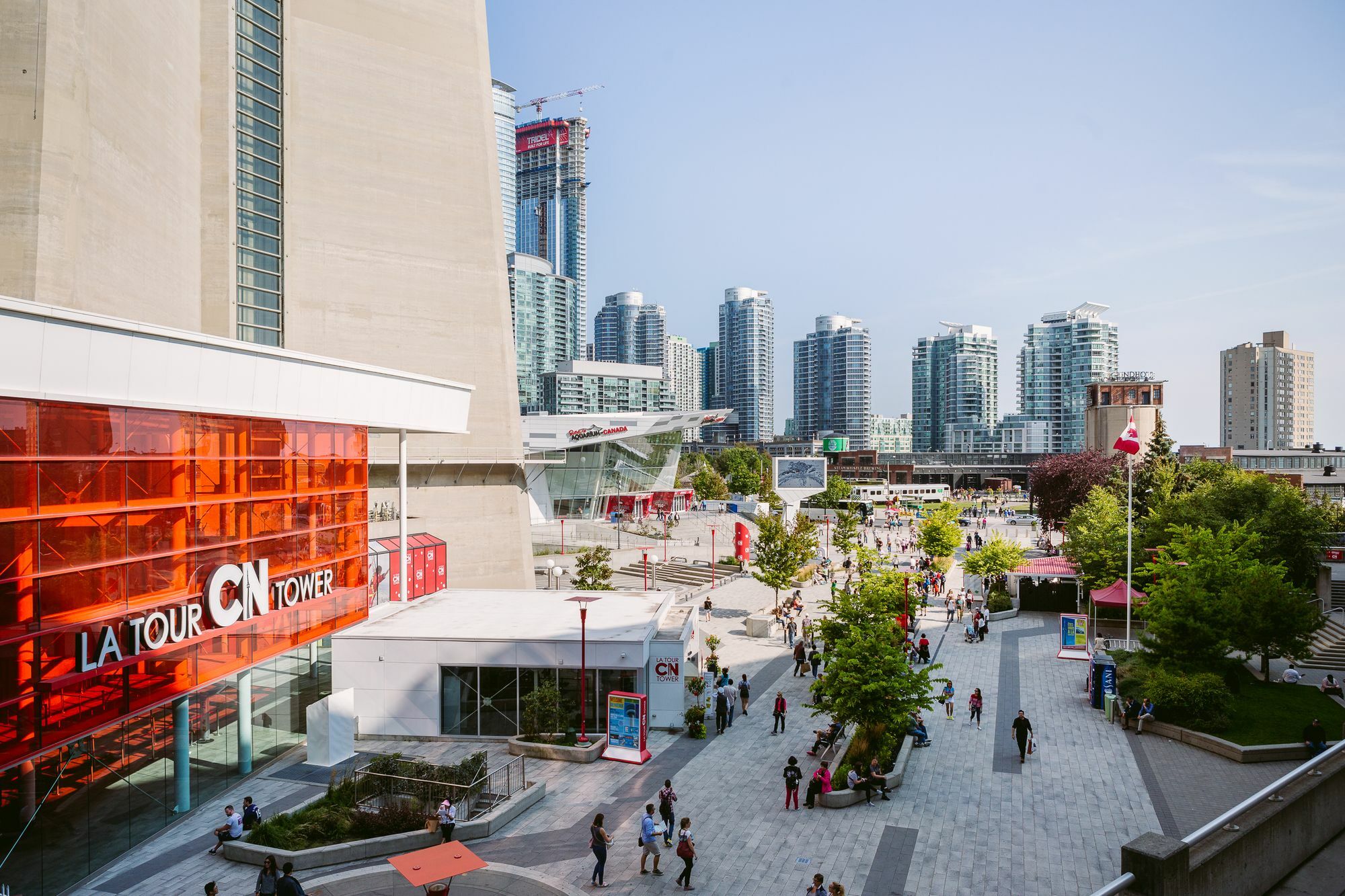 Quickstay - Classic & Trendy Yorkville Condo Toronto Buitenkant foto